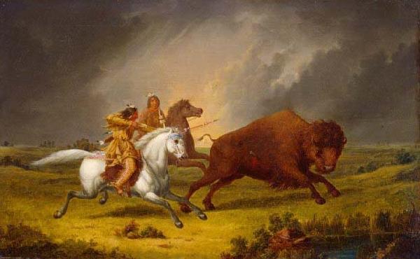 Paul Kane Assiniboine hunting buffalo oil painting image